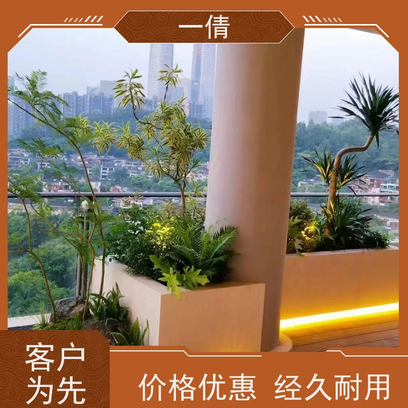 一倩花卉 室内 造型螺纹铁 绿植租赁 种类繁多 规格齐全