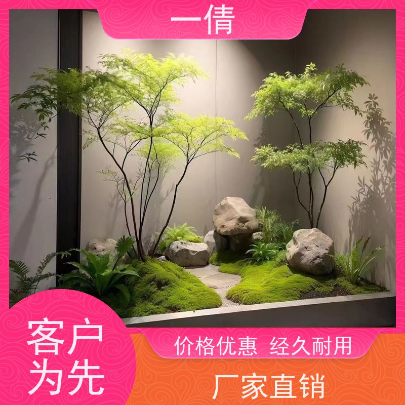 一倩花卉 办公室 铁树 绿植租赁 全城配送 上门养护