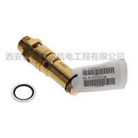 1837006648阿特拉斯空压机配件安全阀