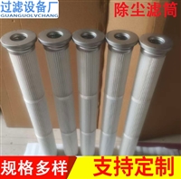 厂家供应除尘滤芯生产供应 搅拌站除尘滤筒 折叠过滤