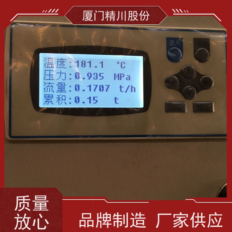 精川股份 合成革厂 饱和蒸汽流量计 可耐温350度 服务量少