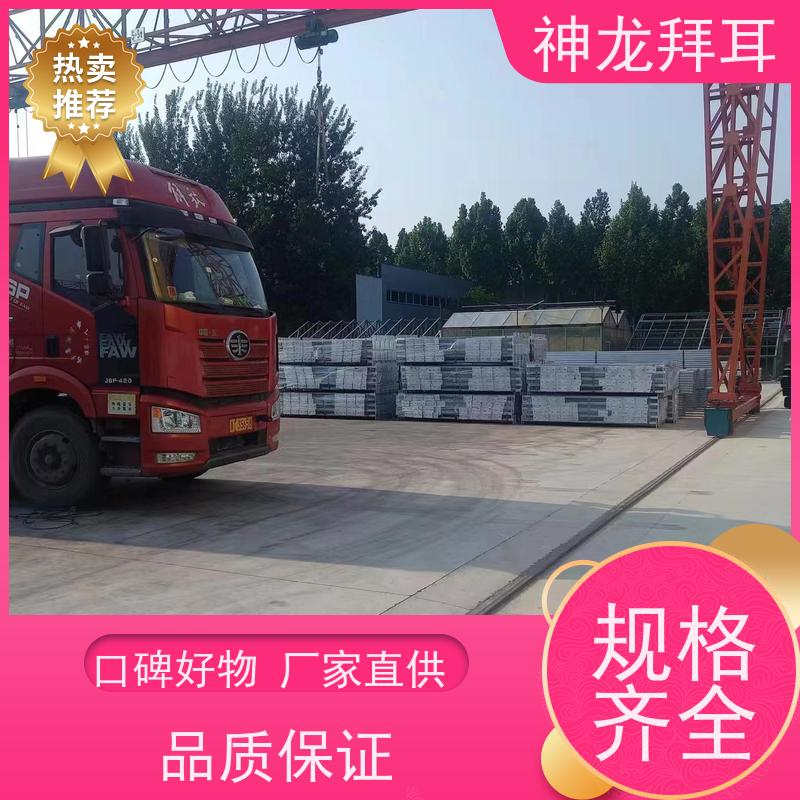 河北神龙拜耳 光伏支架工艺 耐用 品牌