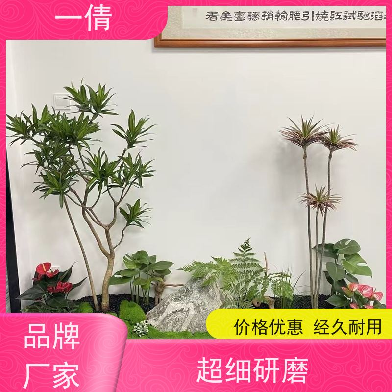 一倩花卉 办公室 造型螺纹铁 室内植物出租 种类繁多 规格齐全