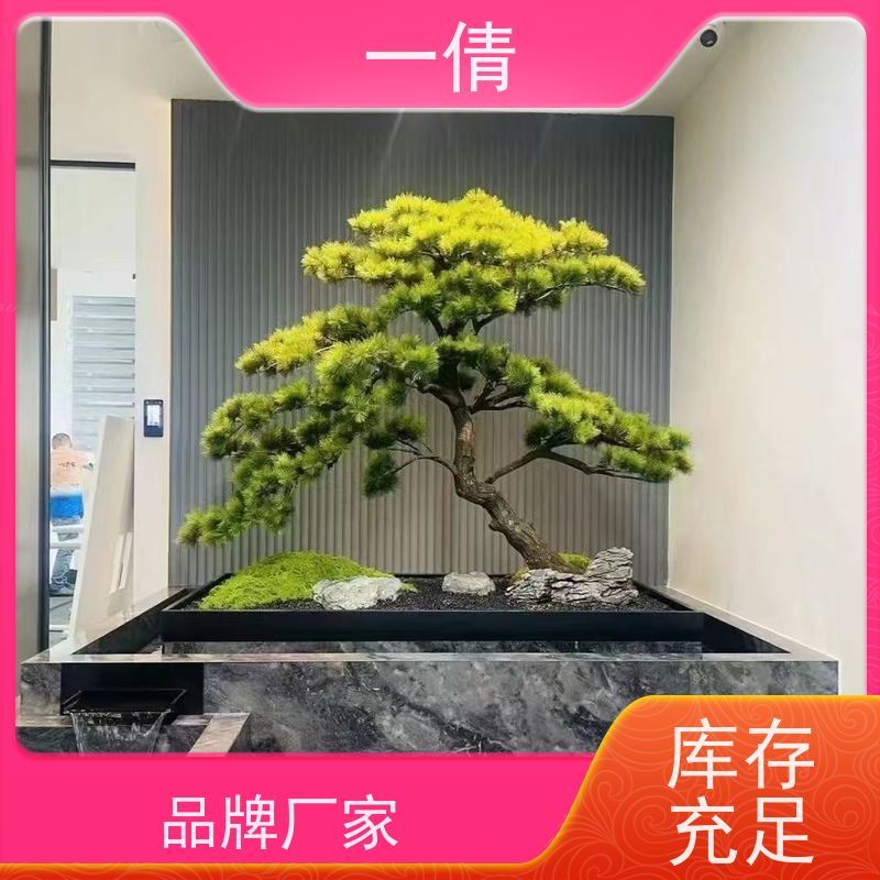 一倩花卉 前台 小仙女海芋 开业花篮租赁 桌面绿植 花木护理