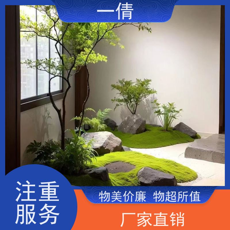 一倩花卉 室内 三杆发财树 绿植租摆 种类繁多 规格齐全