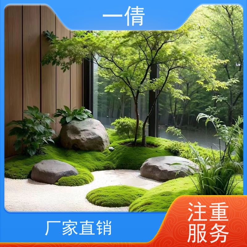 一倩花卉 前台 三杆发财树 绿植租赁 桌面绿植 花木护理