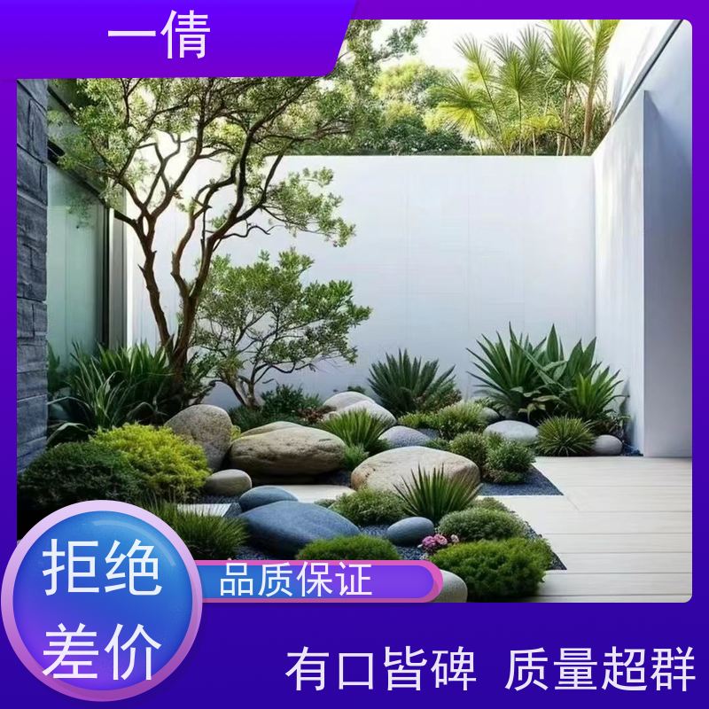 一倩花卉 深圳 铁树 开业花篮租赁 种类繁多 规格齐全