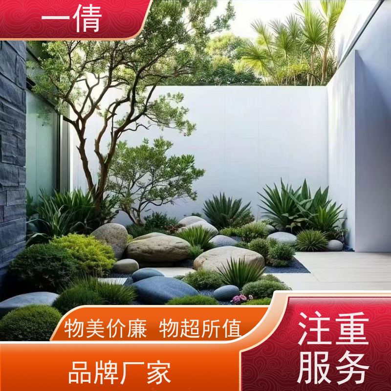 一倩花卉 前台 琴叶榕 室内植物出租 桌面绿植 花木护理