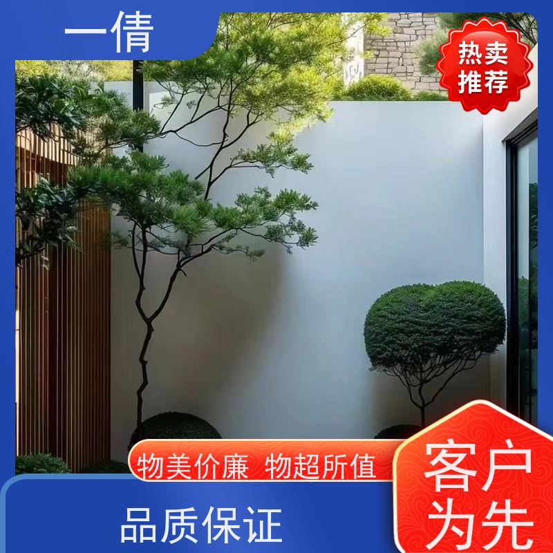 一倩花卉 室内 苹果树 花卉租赁 种类繁多 规格齐全