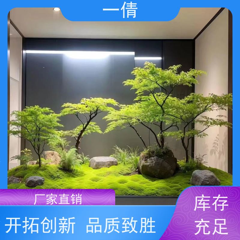 一倩花卉 室内 龙血树 绿植租摆 全城配送 上门养护