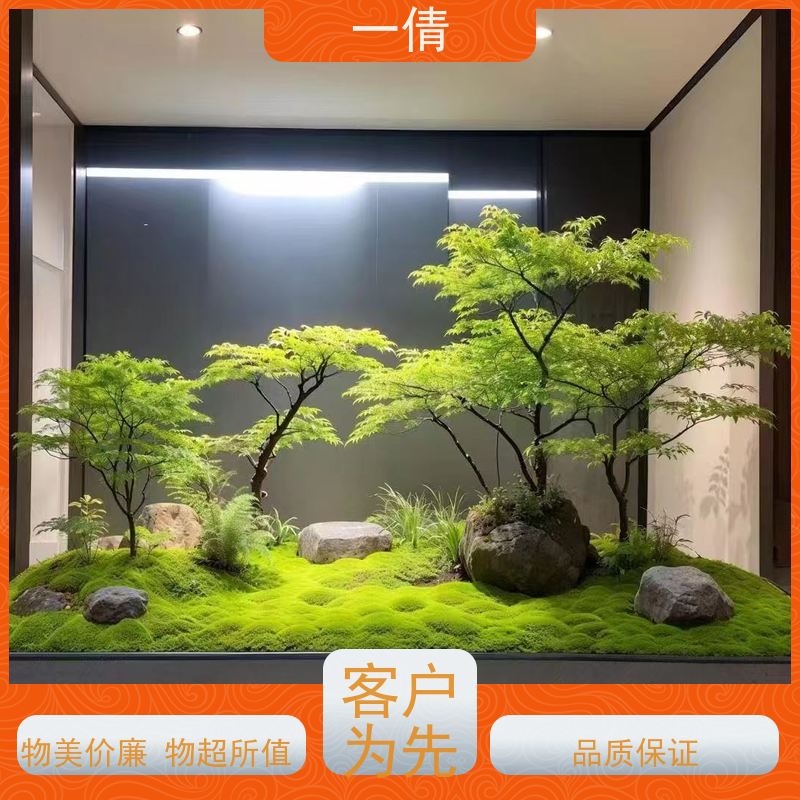 一倩花卉 前台 好事花生 花卉租赁 种类繁多 规格齐全
