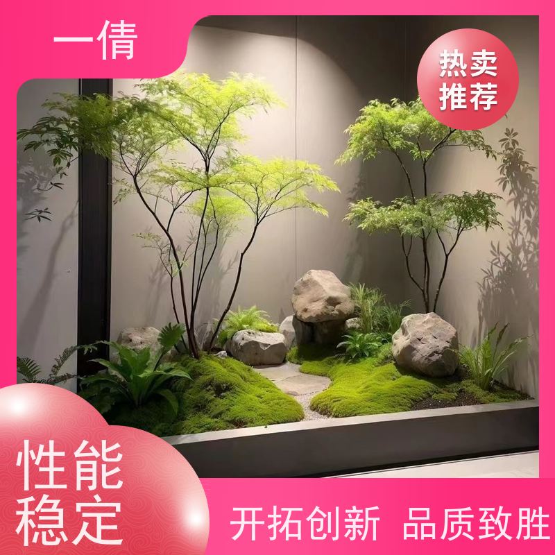 一倩花卉 室内 小仙女海芋 绿植租赁 桌面绿植 花木护理