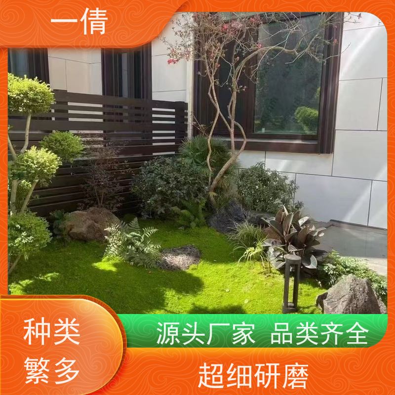 一倩花卉 深圳 好事花生 绿植租赁 种类繁多 规格齐全