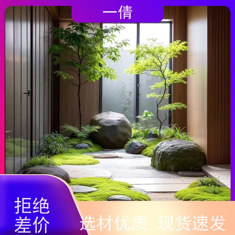 一倩花卉 办公室 夏威夷竹 绿植租赁 种类繁多 规格齐全