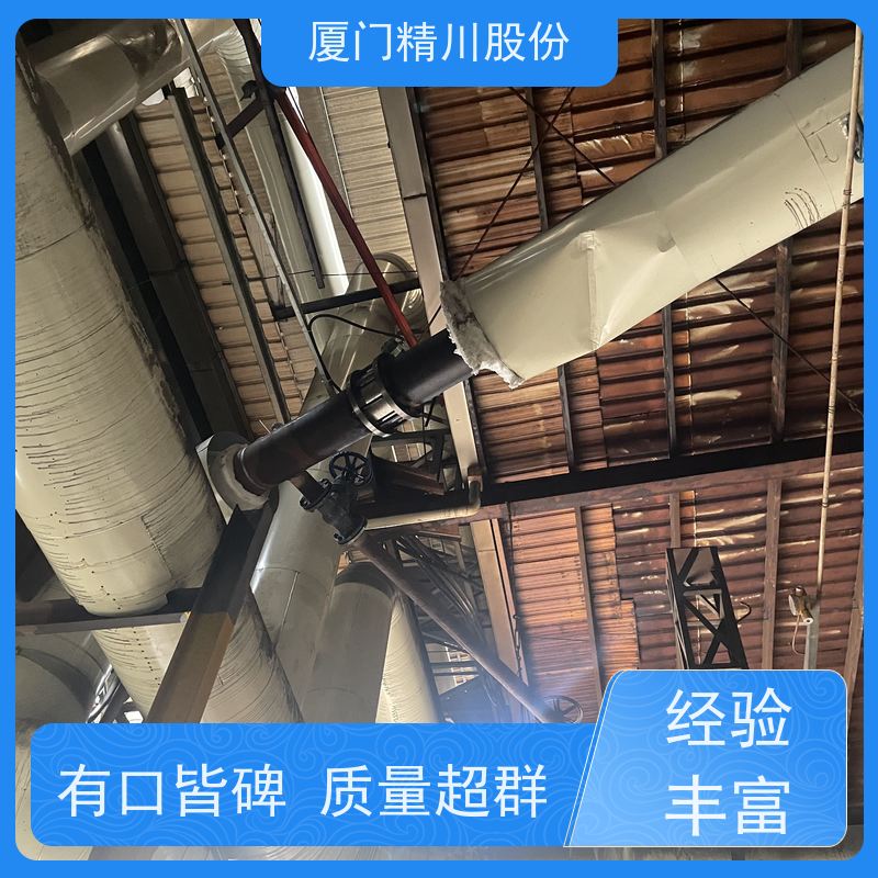 精川股份 合成革厂 导热油流量计 精度高 品质可靠