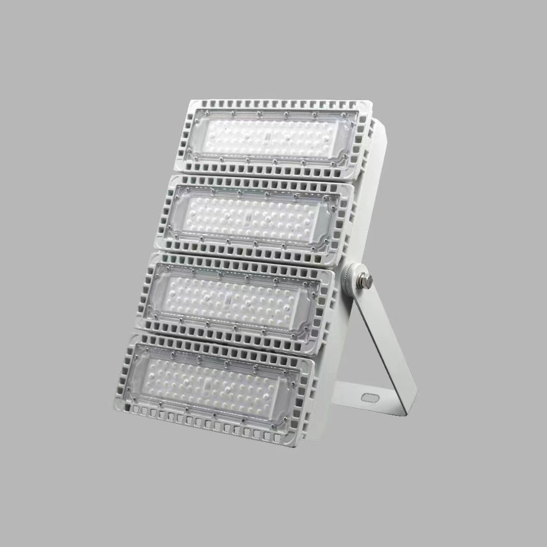  防爆灯具 不锈钢材质 带防雨罩 耐压耐腐蚀  严选原材 品质放心