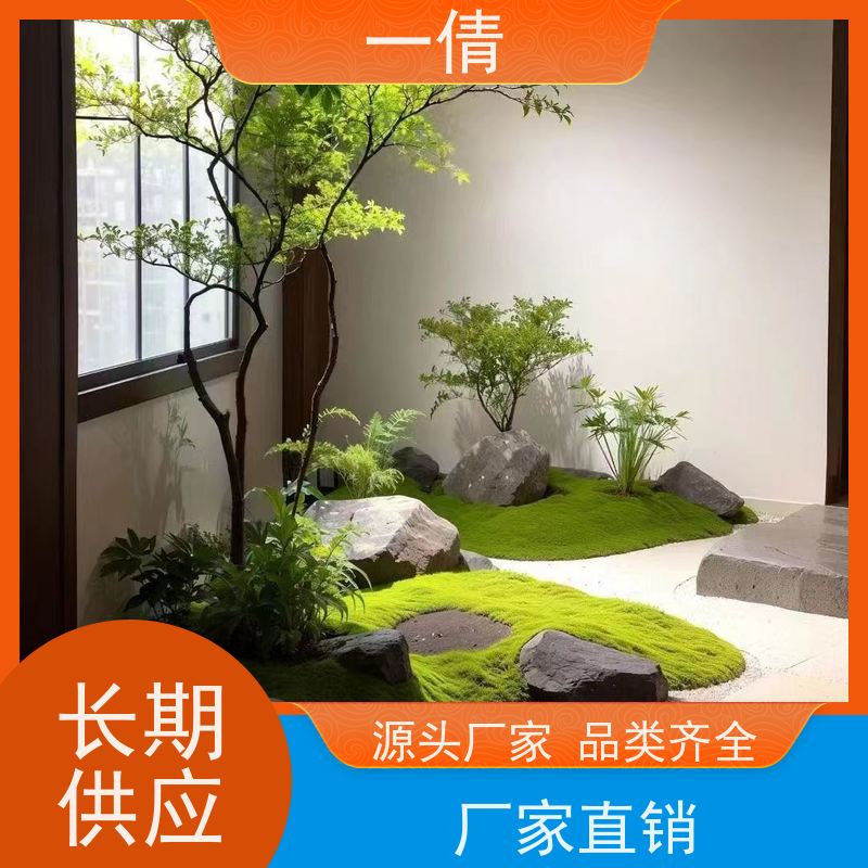 一倩花卉 深圳 金钱树 花卉租赁 全城配送 上门养护