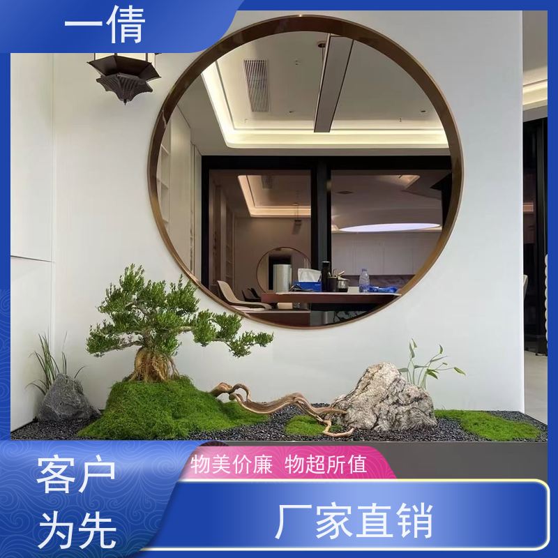 一倩花卉 办公室 平安树 花卉租赁 桌面绿植 花木护理