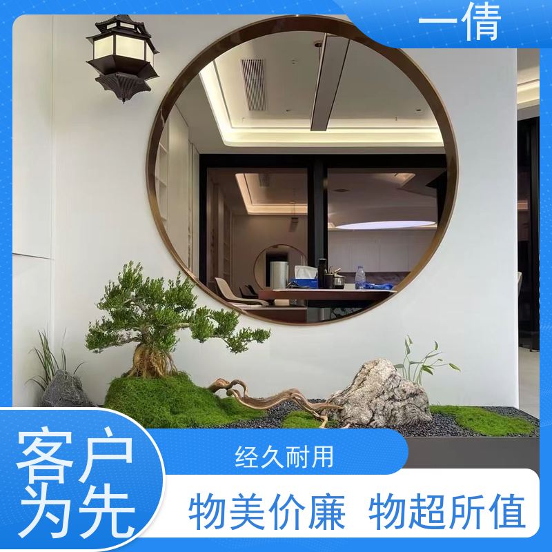 一倩花卉 室内 单杆幸福树 花卉租赁 种类繁多 规格齐全