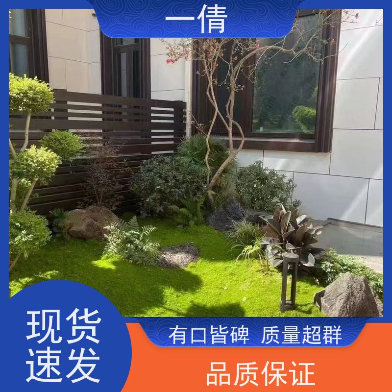 一倩花卉 办公室 琴叶榕 绿植租赁 全城配送 上门养护