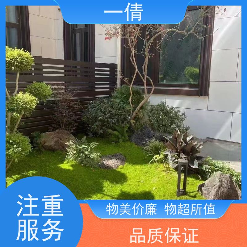 一倩花卉 办公室 平安树 开业花篮租赁 净化空气