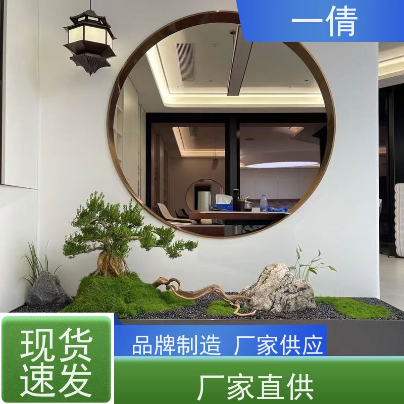 一倩花卉 前台 龙血树 室内植物出租 种类繁多 规格齐全