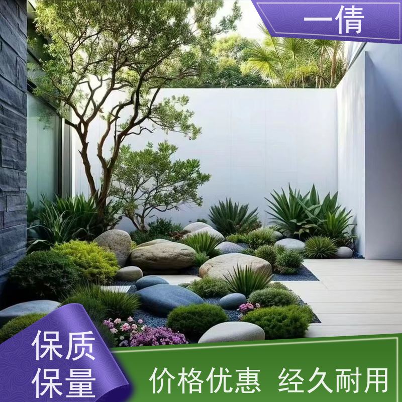 一倩花卉 前台 好事花生 室内植物出租 全城配送 上门养护