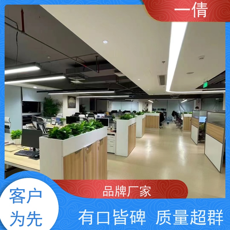一倩花卉 深圳 白掌 绿植租赁 桌面绿植 花木护理