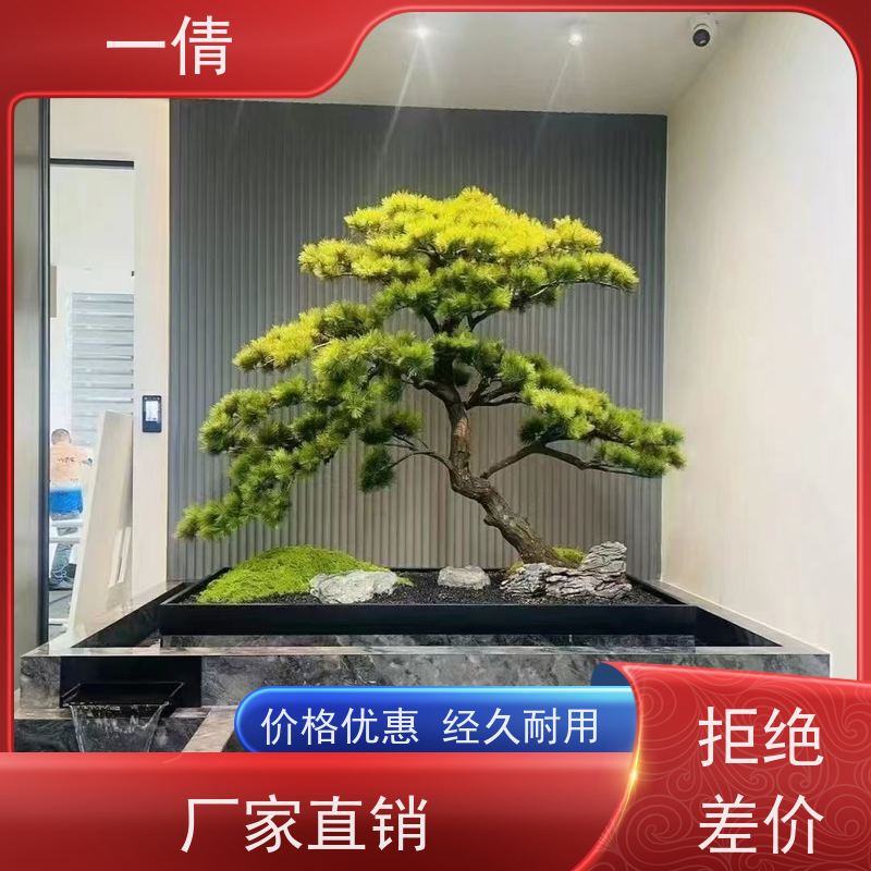 一倩花卉 前台 白掌 绿植租赁 桌面绿植 花木护理