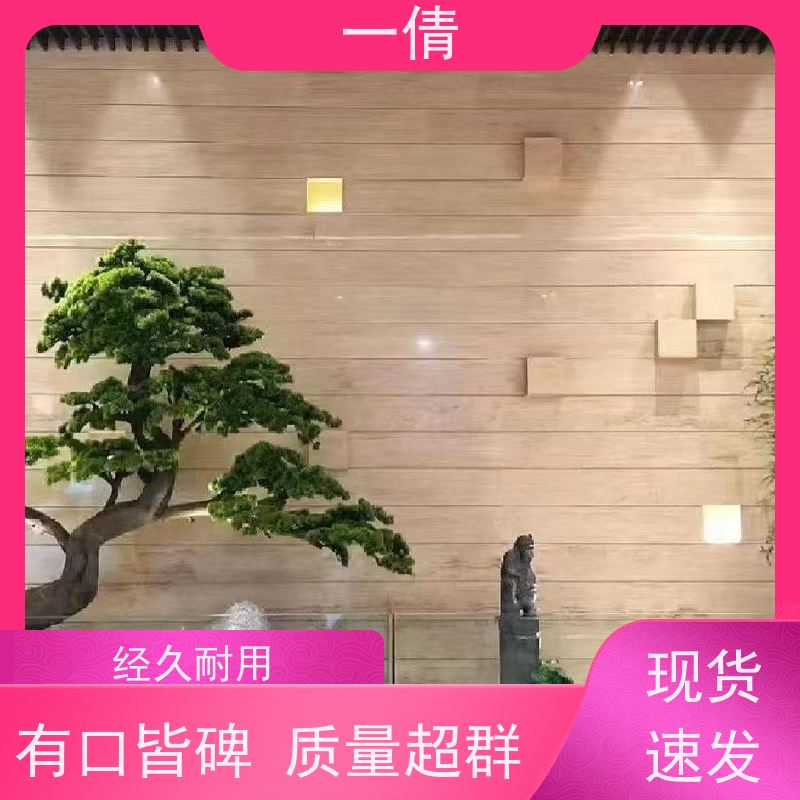 一倩花卉 室内 铁树 花卉租赁 种类繁多 规格齐全