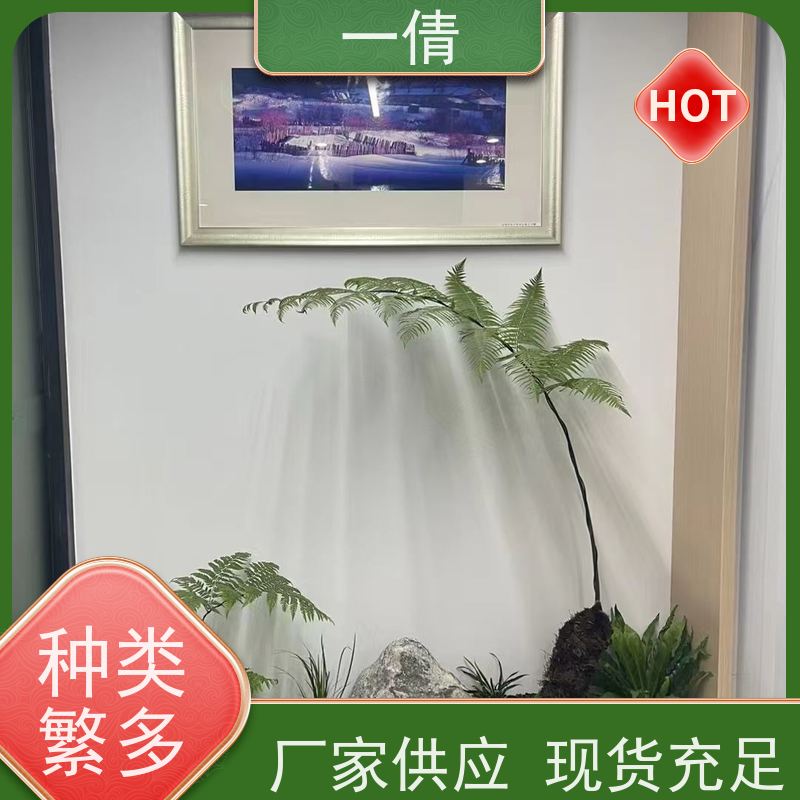一倩花卉 深圳 夏威夷竹 绿植租摆 全城配送 上门养护