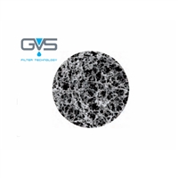 意大利GVS吉威思尼龙膜1213760亲水膜1222859过滤膜