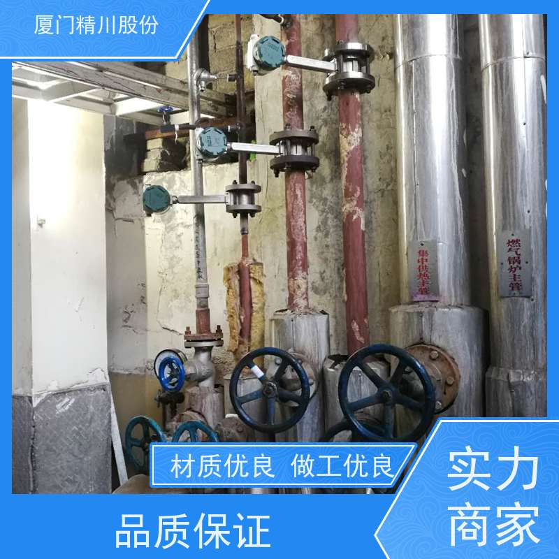 精川股份 合成革厂 过热蒸汽流量计 可耐温350度 支持免费选型