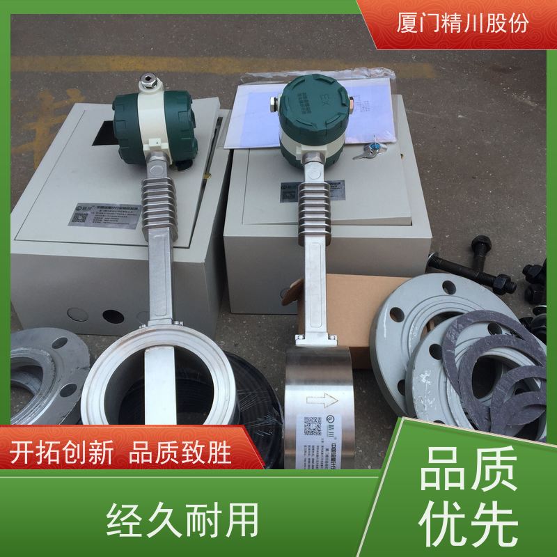 精川股份 合成革厂 导热油炉流量计 精度高 安装简单