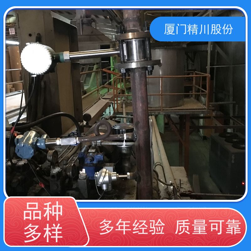 精川股份 合成革厂 蒸汽流量计 抗震性能好 真实应用案例多