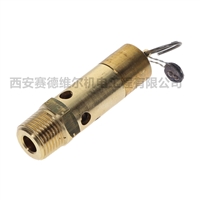 0830100838阿特拉斯空压机配件安全阀