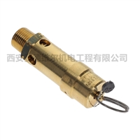 0830100840阿特拉斯空压机配件安全阀