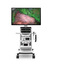 HB300-TEC医用内窥镜冷光源代理