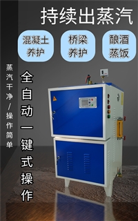 海南桥梁养护蒸发器36千瓦桥梁养护蒸汽机养护技术