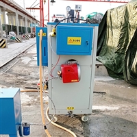 乐山路桥预制件蒸汽发生器混凝土养生机48kw零排放设备