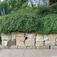 公园装饰 天然柏坡黄垒墙石 红色毛石砌墙石景墙 片石景观墙