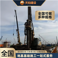 海南旋转挤压灌注桩丰富施工经验 欢迎致电咨询