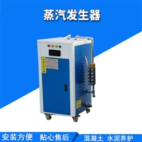 天津桥梁加温养护系统18kw蒸汽发生器维护便捷