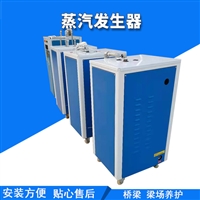 广安桥梁养护系统蒸汽桥梁养护发生器生产商型号规格
