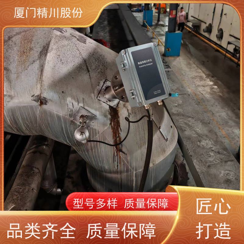 精川股份 电容法 抽取式烟气湿度仪 可定制耐温400度 源头生产厂家