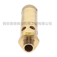 1092001925阿特拉斯空压机配件安全阀
