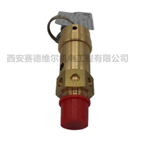 1092002103阿特拉斯空压机配件安全阀