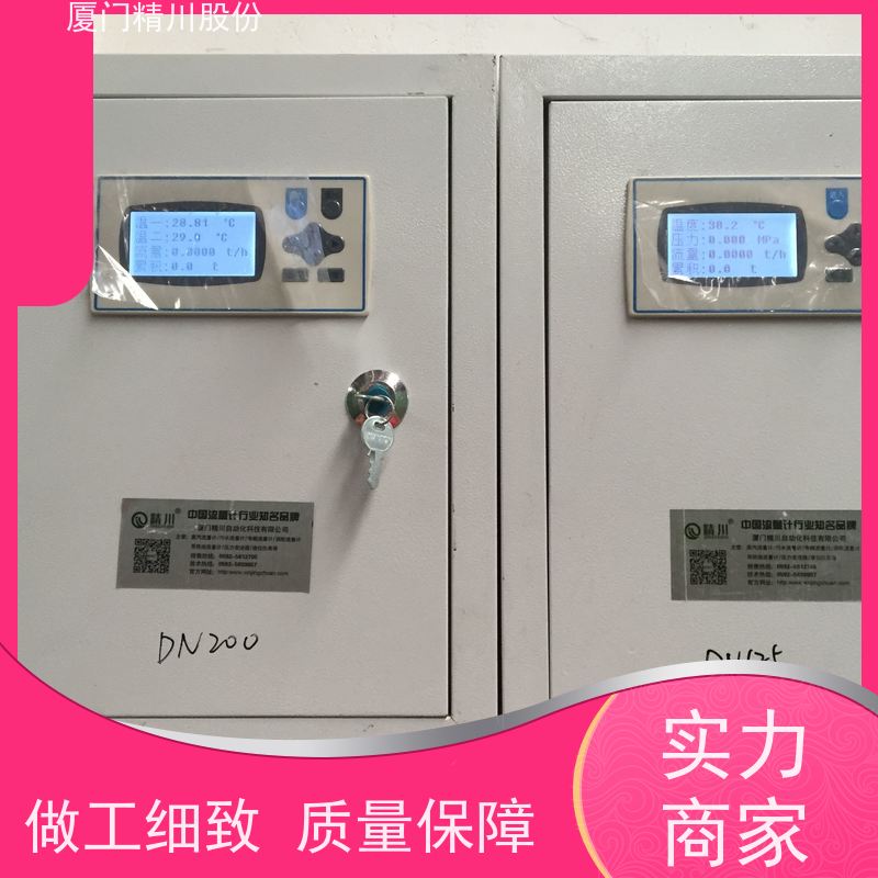 精川股份 合成革厂 导热油炉流量计 精度高 单位可选