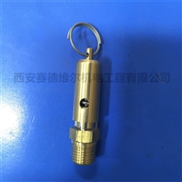 0830101033，0830101048阿特拉斯空压机配件安全阀