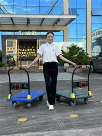 明威电动手推车平板车厂商